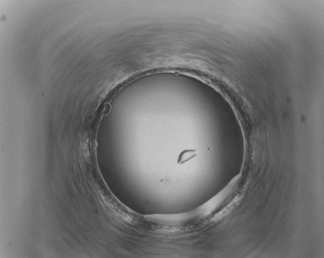 X0000064751497200602171719