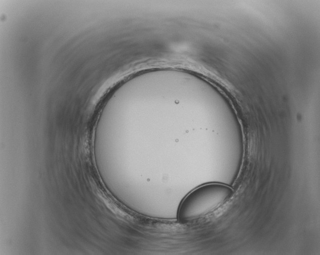 X0000064751498200602171719