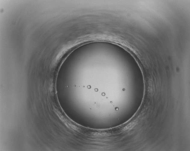 X0000064751499200602171719