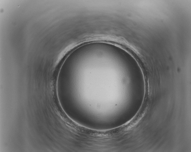 X0000064751501200602171719