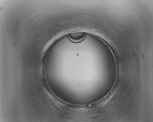 X0000064751502200602171719