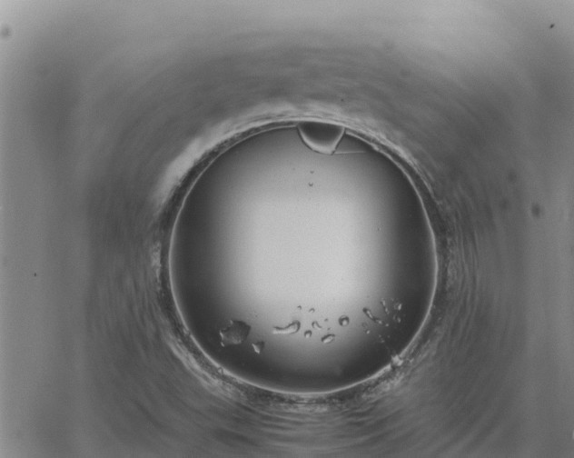 X0000064751503200602171719