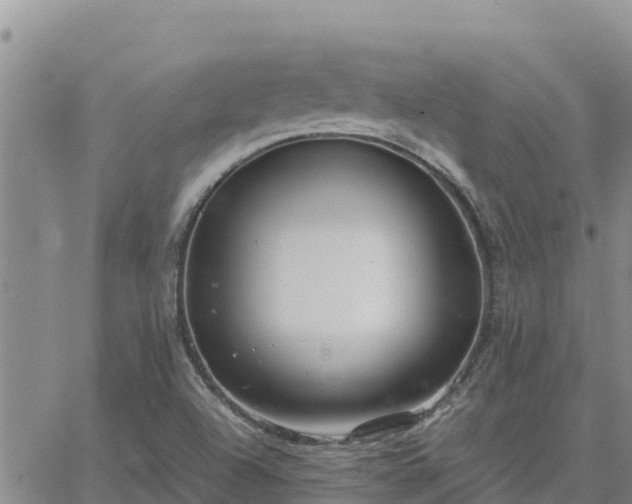 X0000064751504200602171719