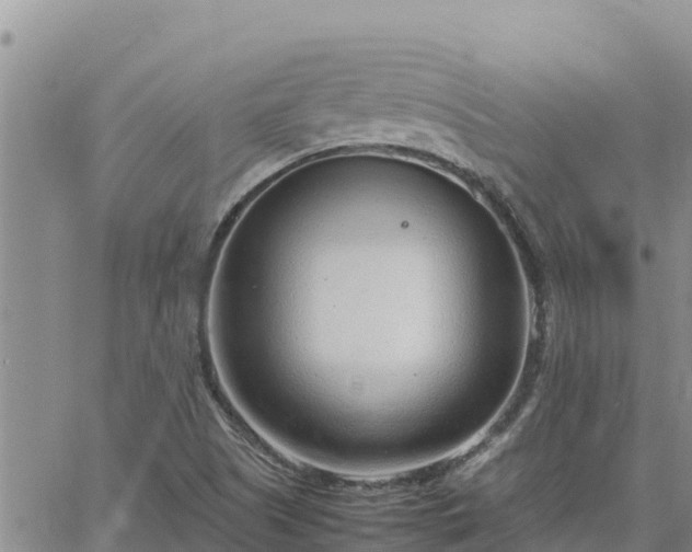 X0000064751505200602171719