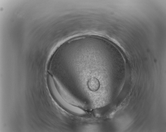 X0000064751508200602171719