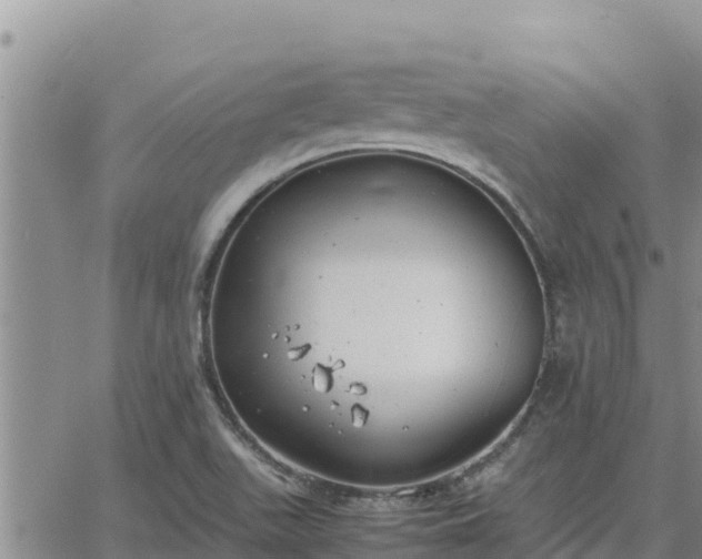 X0000064751511200602171719