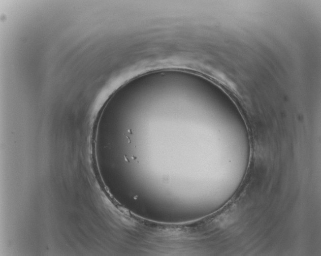 X0000064751512200602171720