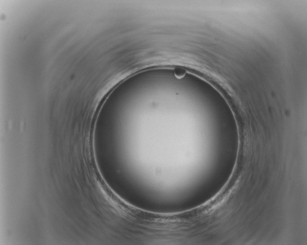 X0000064751513200602171720