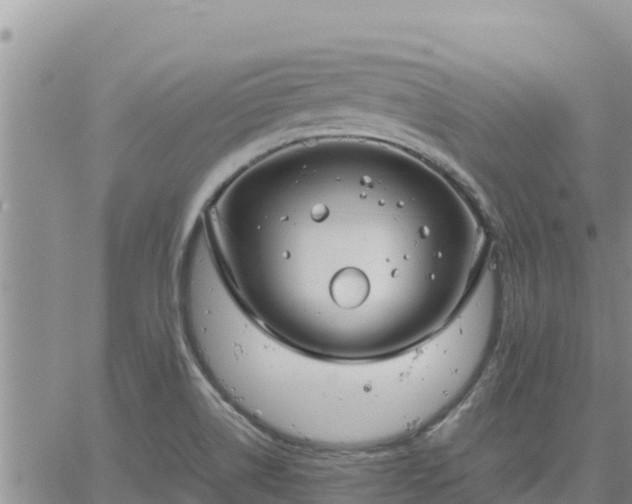 X0000064751514200602171720