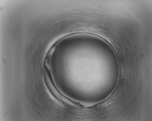 X0000064751515200602171720