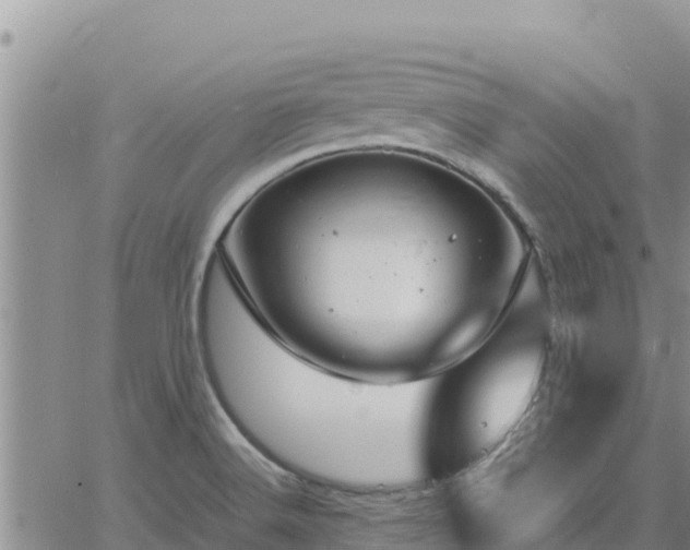 X0000064751516200602171720