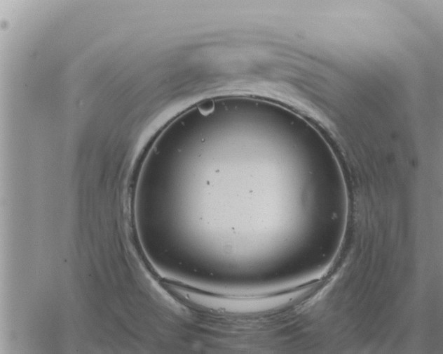 X0000064751517200602171720