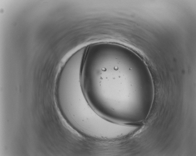 X0000064751518200602171720