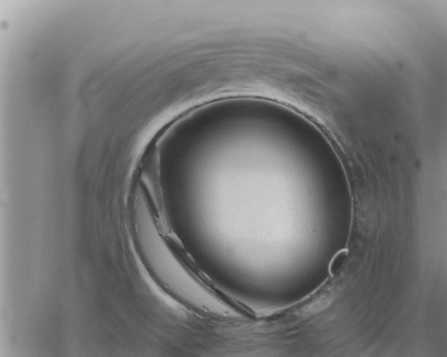 X0000064751519200602171720