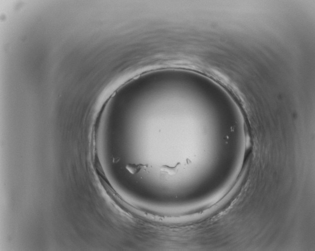 X0000064751520200602171720