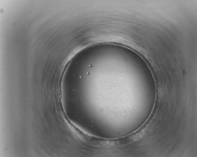 X0000064751521200602171720