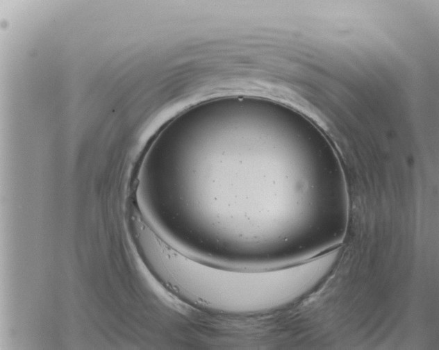 X0000064751523200602171720