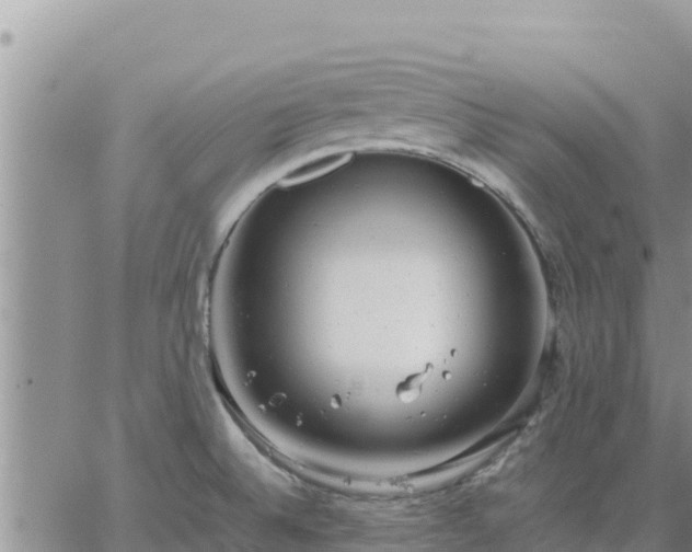 X0000064751524200602171720