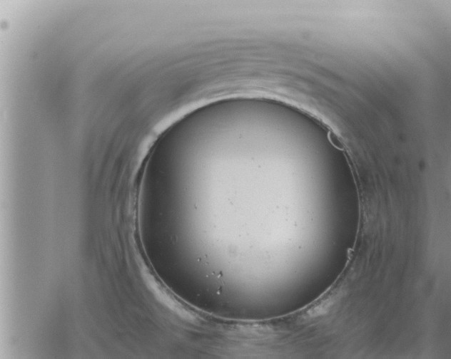 X0000064751526200602171720