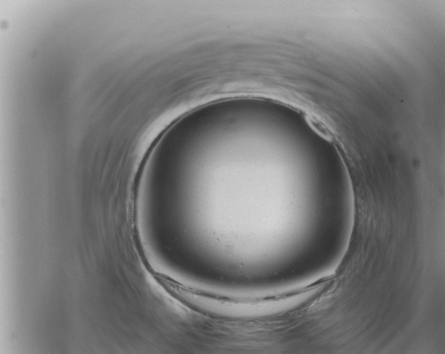 X0000064751527200602171720