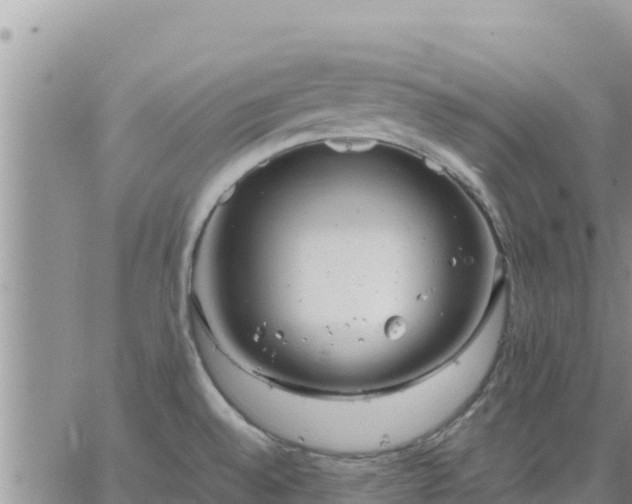 X0000064751528200602171720