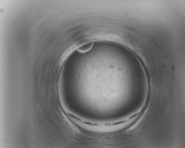 X0000064751529200602171720