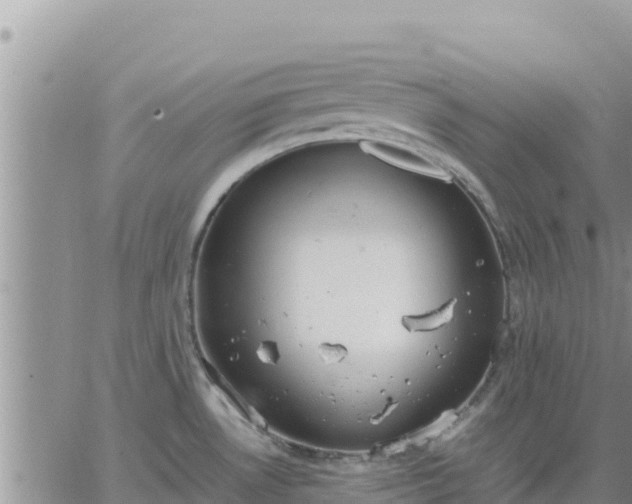 X0000064751530200602171720