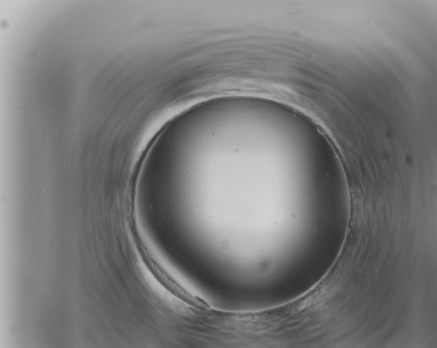 X0000064751531200602171720