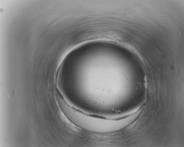 X0000064751532200602171720