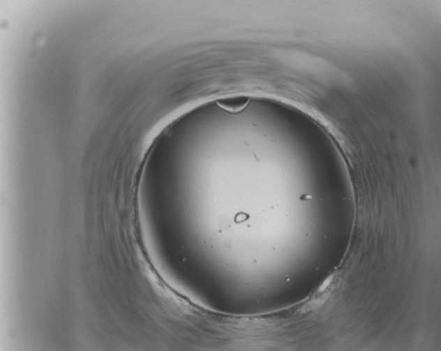 X0000064751534200602171720