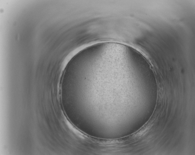 X0000064751535200602171720