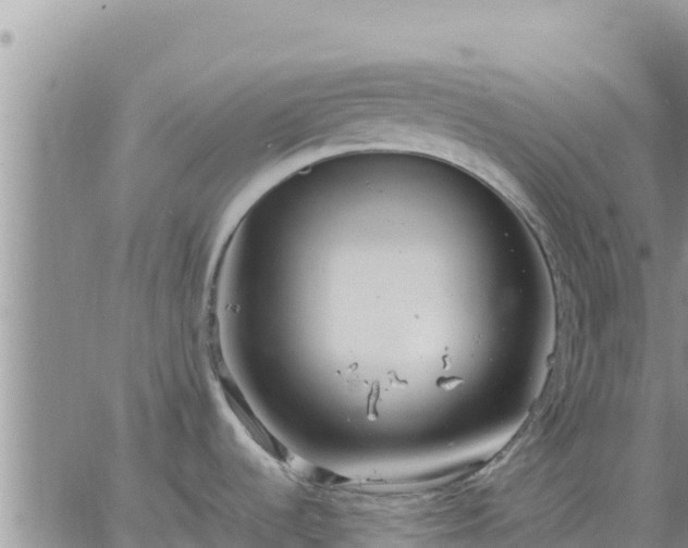 X0000064751536200602171720