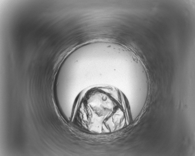 X0000064750001200602241854