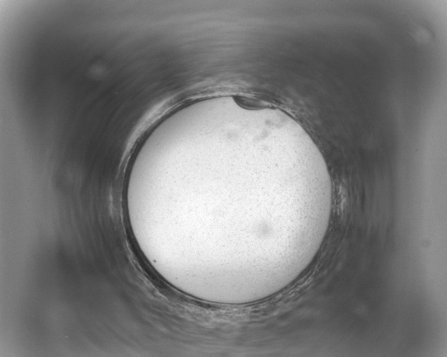 X0000064750004200602241854