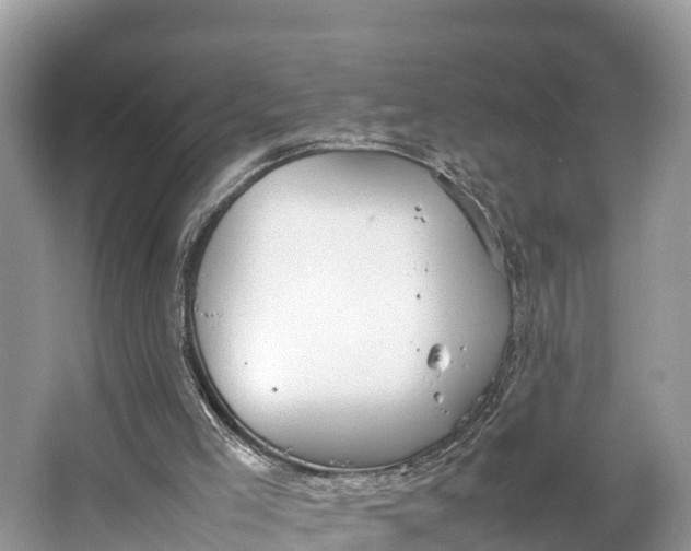 X0000064750005200602241854