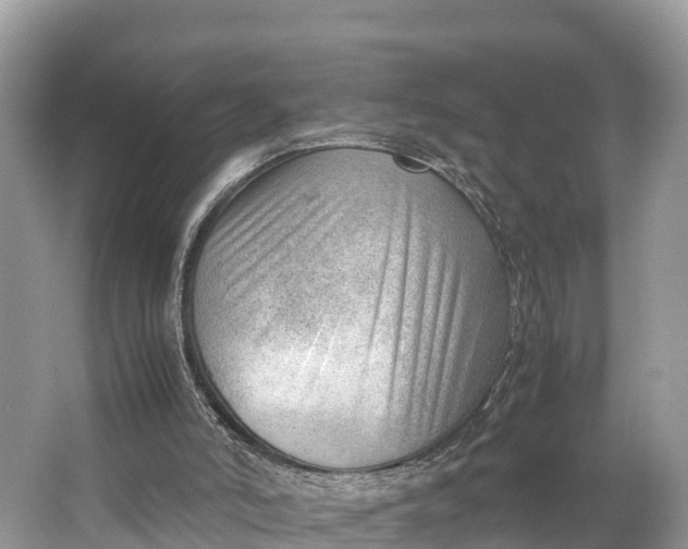 X0000064750006200602241854