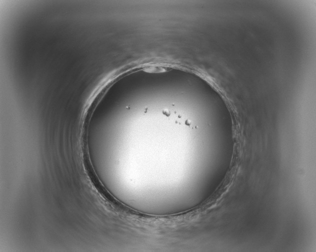 X0000064750007200602241854