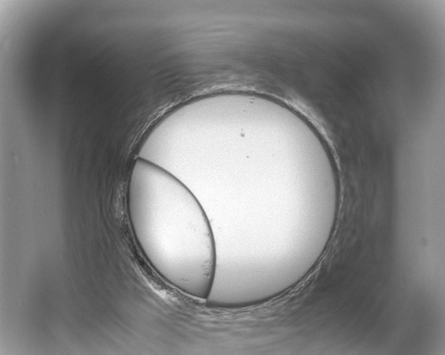 X0000064750009200602241854