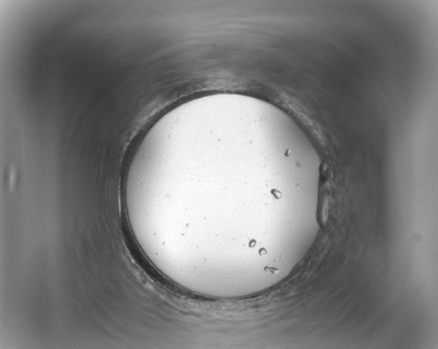 X0000064750011200602241854