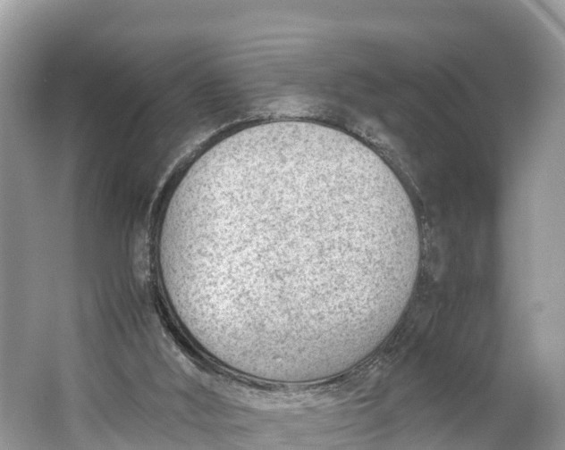 X0000064750012200602241854