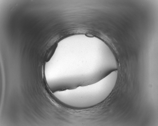 X0000064750013200602241854