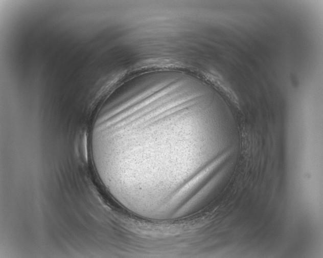 X0000064750014200602241854