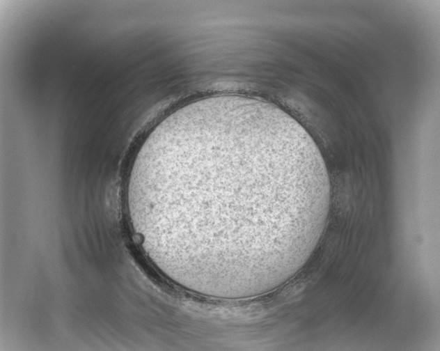 X0000064750016200602241854