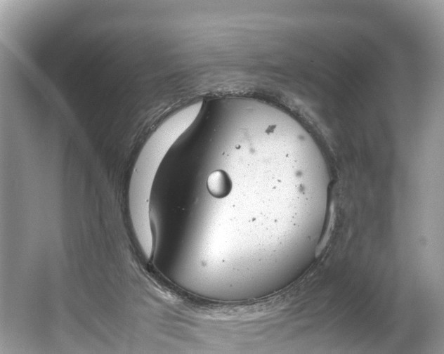 X0000064750017200602241854