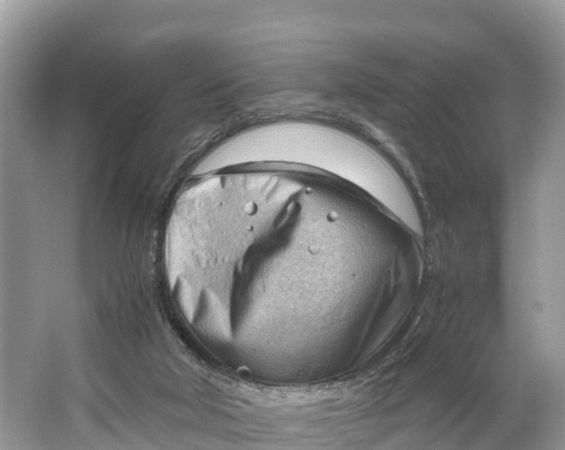 X0000064750018200602241853