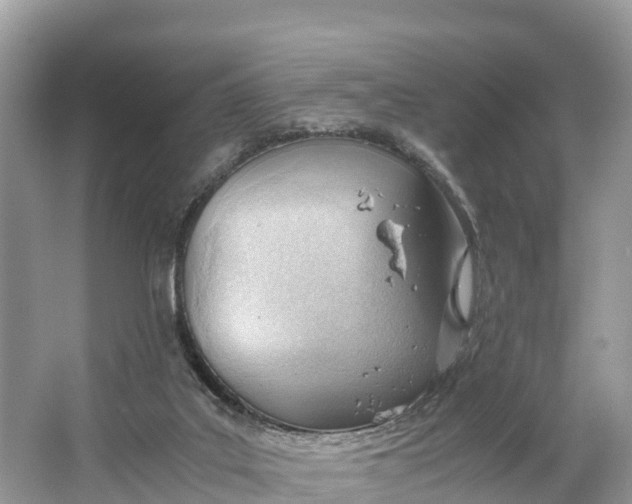 X0000064750019200602241853