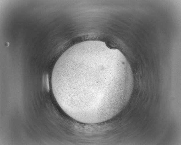 X0000064750022200602241853