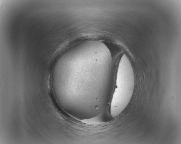 X0000064750023200602241853