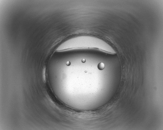 X0000064750024200602241853