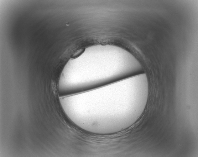 X0000064750025200602241853